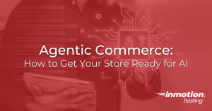 Agentic Commerce How to Get Your Store Ready for AI - Hero Image